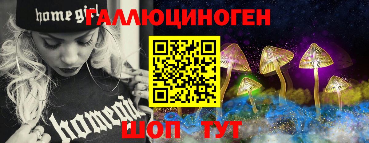 Галлюциногенные грибы GOLDEN TEACHER Гулькевичи