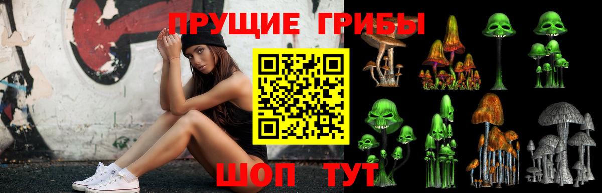 Гулькевичи  Галлюциногенные грибы мицелий  Вход с VPN  Галлюциногенные грибы Cubensis 